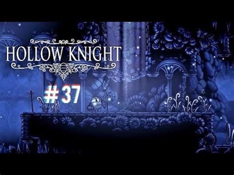 Hollow Knight Insecto Reparador Entrada Secreta Del Diario Del