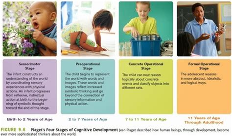 PSYC 102 Developmental Psychology Module 7 Flashcards Quizlet