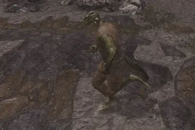 True Digitigrade Beast Races Wip At Skyrim Nexus Mods And Community