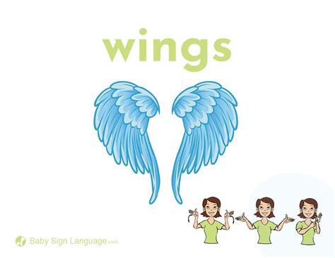 Wings Vocabulary Definition at Christopher Gwinn blog