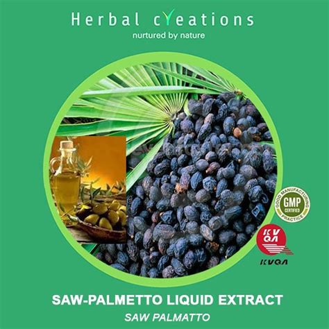 Saw Palmetto Extract - Saw Palmetto Fruit Extract Latest Price ...