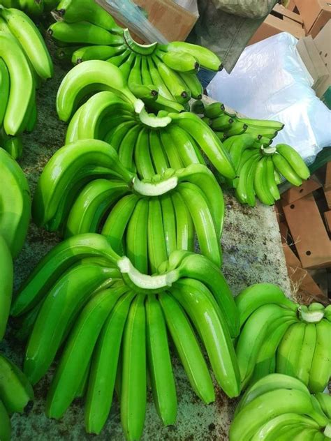 A Grade Fresh Green Cavendish Banana Packaging Size 20 Kg At Rs 300