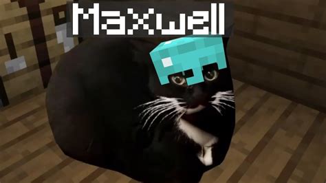 Maxwell The Cat In Minecraft Youtube