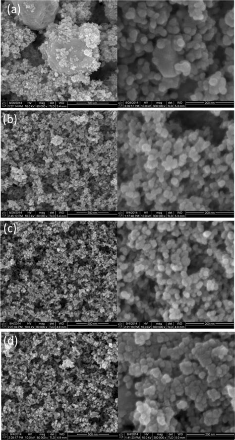 Low 80 000 And High Magnification 300 000 SEM Images Of FSP