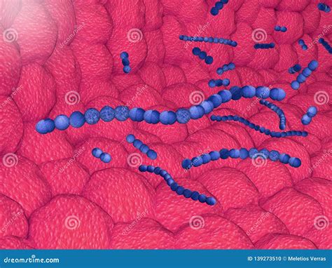 Streptococcus Pyogenes Stock Illustration Illustration Of Pyogenes
