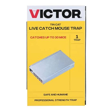 victor  catch mouse trap plant addicts