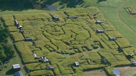 LOOK Field Of Screams Corn Maze 2021 YouTube