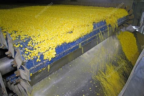 Corn Processing Factory Food Industry — Stock Photo © Branex 34157795