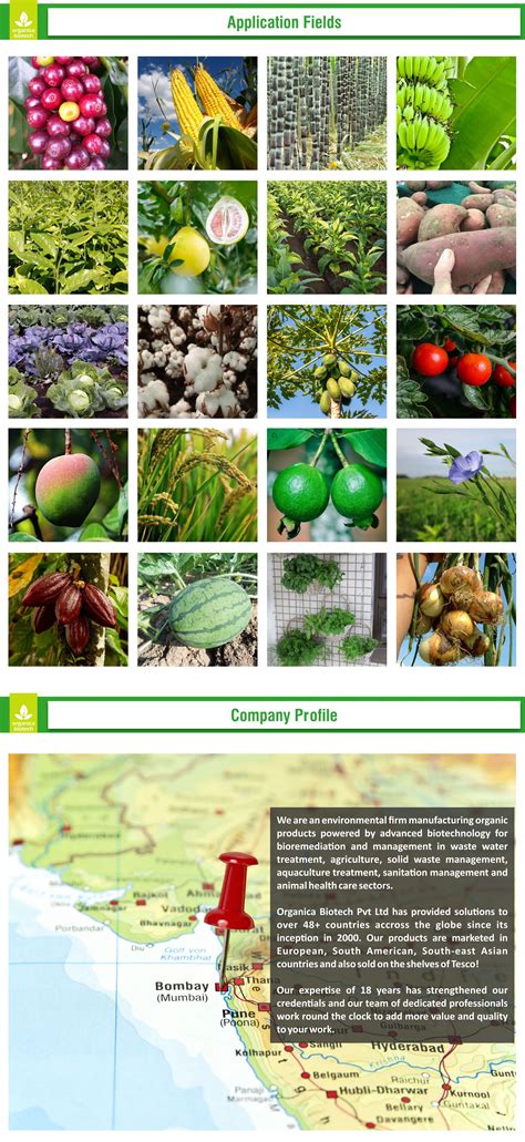 Best Brands Of Organic Fertilizer For Onions And Cucumbers In Us - Buy ...