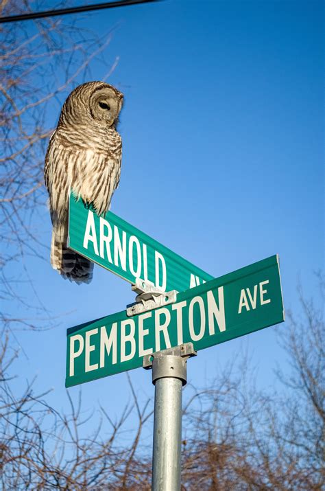 Jamestown Historical... - Jamestown Historical Society