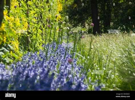 Hampton Court, London Stock Photo - Alamy