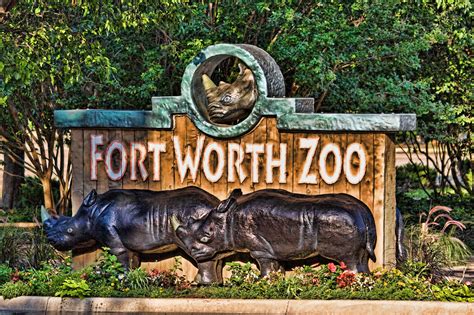 Top 5 Secrets Escort Fort Worth Professionals Won't Tell You Image 14
