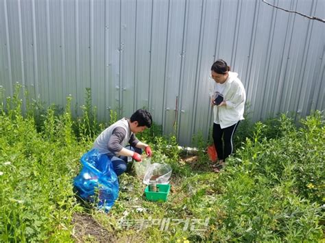 진안군 토양오염 실태조사 실시