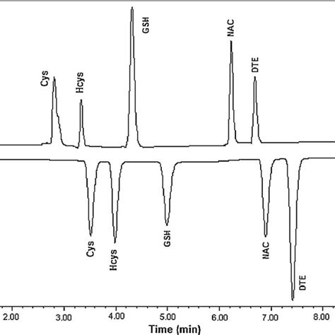 The Chromatograms Of A Synthetic Mixture Of Biothiols At 205 Nm Download Scientific Diagram