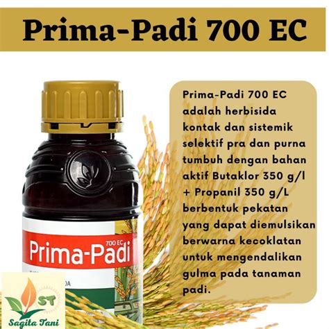 Jual Herbisida Prima Padi Ec L Racun Rumput Selektif Padi