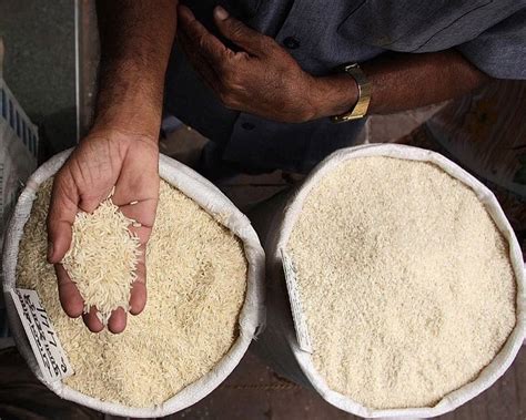 India Allows Export Of Over Lakh Tonnes Of Non Basmati White Rice To