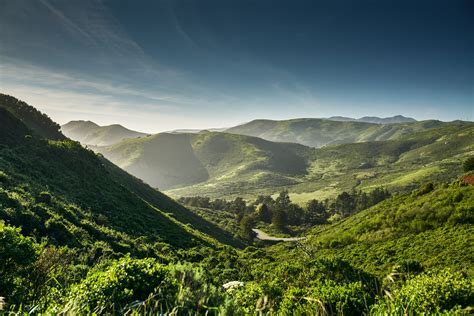 invest   provide consulting  privately held