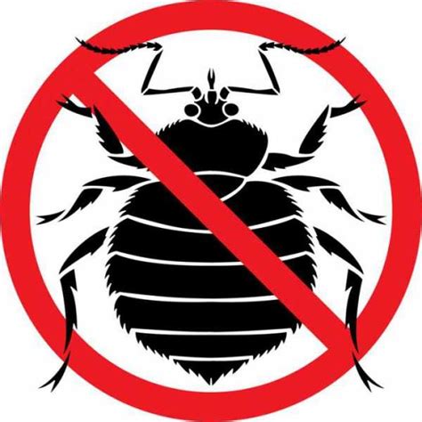 От клопов безопасное средство – Средства от клопов безопасные для людей ...