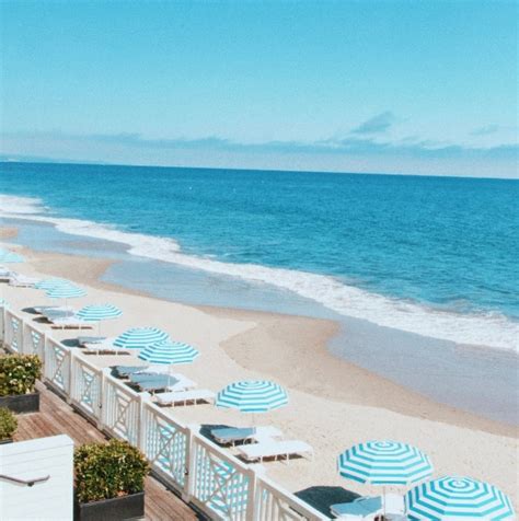 10 Pet-Friendly Hotels in Santa Barbara (2025 Update) - Catster