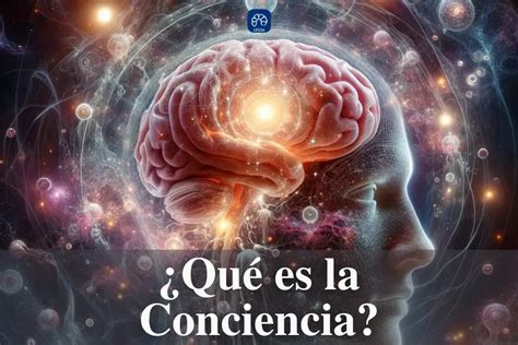 O Que Conciencia Negra