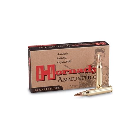 Hornady Custom 300 Winchester Magnum 180 Gr Super Shock Tip Ammunition