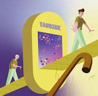 Homosexualität bei Tieren Warum Rhesusaffen Männchen Sex haben WELT