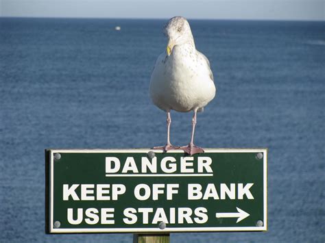 keeping track  england