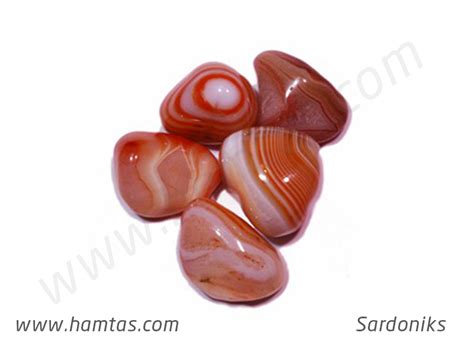 SARDONİKS | HAMTAŞ