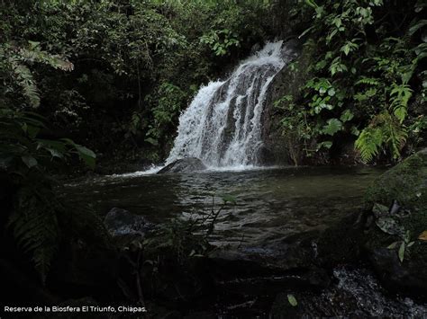 CONANP on Twitter SabíasQue el agua que nace en la Reserva de la