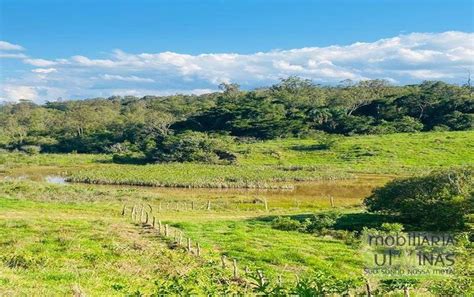 Fazenda De Alqueires A Venda Em Campanha Mg