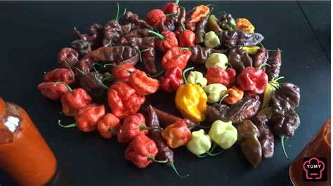 Trinidad Scorpion Pepper Hot Sauce Recipe Yumy Recipe