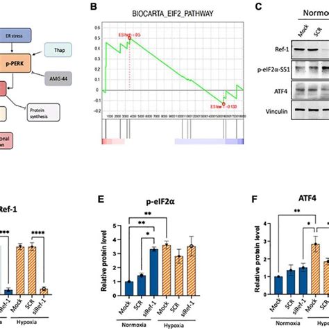 activation  eifa  observed  conditions  ref  kd