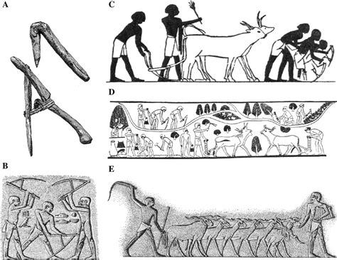 Ancient Egyptian Farming Tools