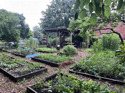 Hubbard Farms Community Garden | Detroit MI