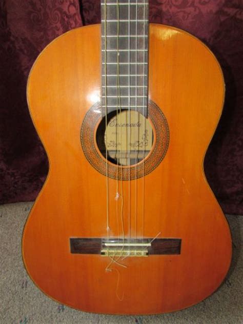 Lot Detail Beautiful Ensenada Model Cg108 Acoustic Guitar With Case
