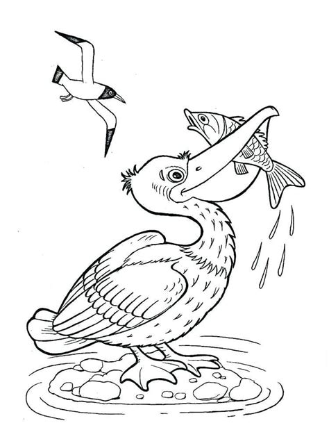 Pelican Coloring Page Bird Coloring Pages Coloring Pages Animal