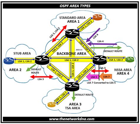 Introduction To Ospf Area Types The Network Dna