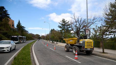 La Cuesta De Beloso De Pamplona Se Prepara Para La Tala Masiva De