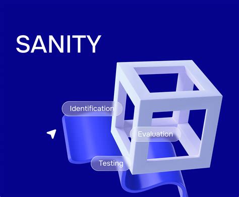 What Is Sanity A Comprehensive Introduction Alex Kuznetsof