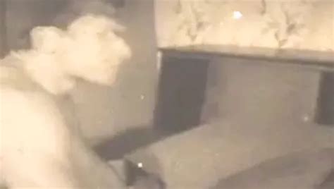 Gay Vintage S One To Many Xhamster