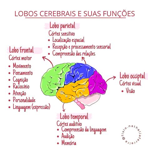 MAPA MENTAL SOBRE FUNÇÕES CEREBRAIS - Maps4Study