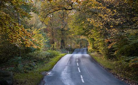 Skov Efter Ret Falde Stock Foto Colourbox