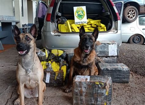 Assista Aux Lio De C Es Bpfron Apreende Drogas Em Santa Helena