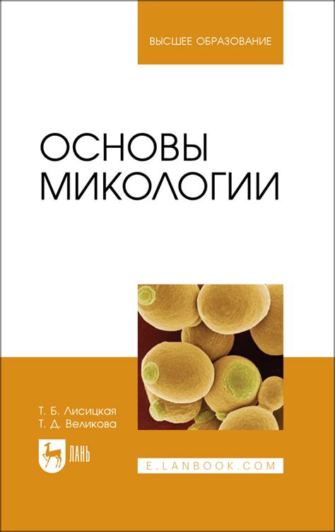 Основы микологии, Лисицкая Т. Б., Великова Т. Д., Издательство Лань ...