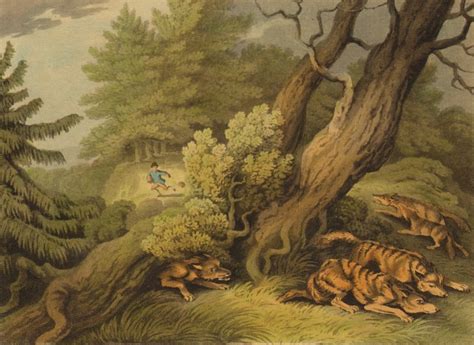 American Anecdote Wolves Hunting A Boy By Orme Edward 1814 Art