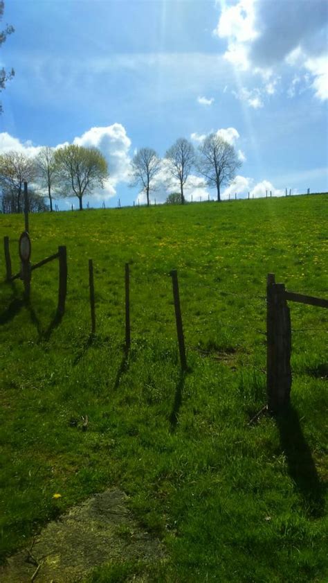 2022: Best of Alzen, Germany Tourism - Tripadvisor