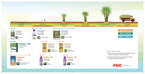 Sugarcane Fmc Ag In