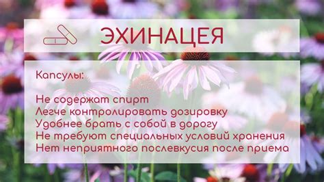 Эхинацея в капсулах для иммунитета: инструкция, взрослым и детям
