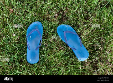Flip Flops On Grass Stock Photo Alamy