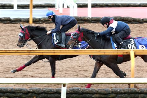 【池添謙一のken To 1】阪神7rのソルトクィーン自己条件なら勝機十分 Umatoku 馬トク